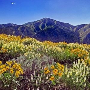 Meet your Posher, Ef